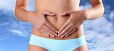 Digestion, transit, et confort urinaire Digestion, transit, et confort urinaire